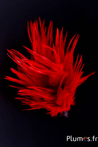 Plumet coq  -  hauteur 15 cm - rouge